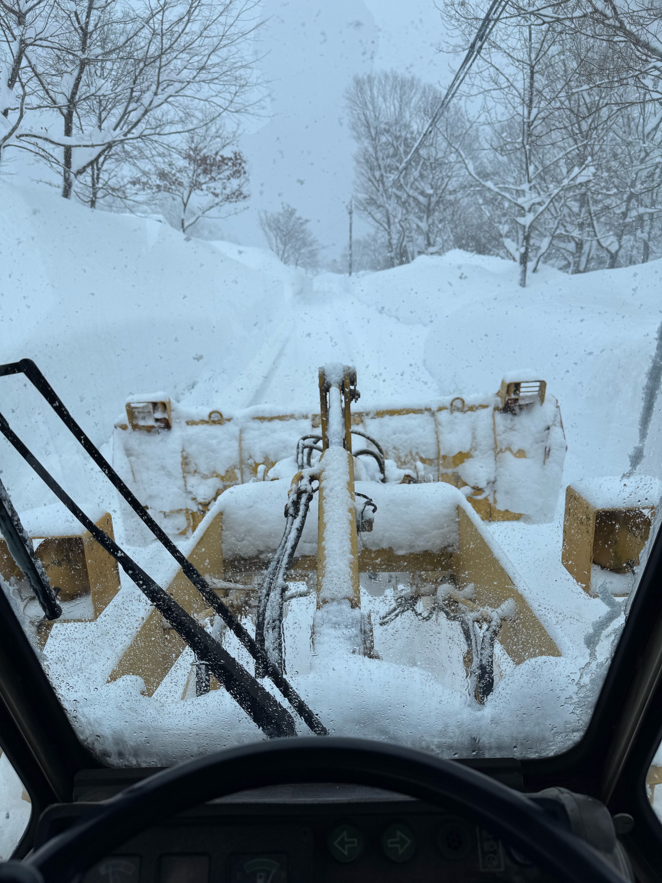 去年の2月下旬は、ほとんど雪が無かったのに・・・ アイキャッチ画像